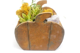 Plant Nite: Pumpkin Succulent Terrarium w/ Rose Quartz